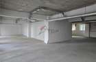 Spatiu Comercial - Conest - Tudor Vladimirescu - 9