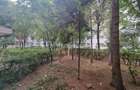 Inchiriere apartament cu 2 camere in Ploiesti zona Nord- Polux - 17