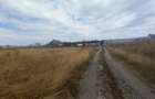 Otopeni-Philip Morris,(zona mixta),1308 mp,50 deschidre X 26 m - 3