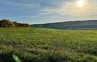 Teren de vanzare in Betfia, 5487 mp intravilan, Bihor - 6