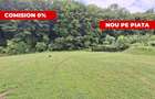 Teren intravilan 1203 mp Bascov-Florea zona Superba - 1