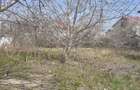 Teren intravilan 720 mp - Kamsas - 245.000 euro  (Cod E6) - 2