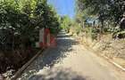 Teren 4558 mp cu casă tradițională, Sohodol, Bran - 12