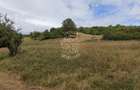 Teren 5200 mp-ideal cabane, case de vacante, agricultura-Livezile - 1