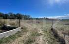 Teren intravilan de vanzare, 970mp, Turcinesti - 2