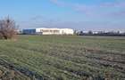 Vanzare Teren  industrial \5000mpMagurele Varteju - 10