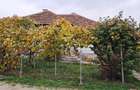 CASĂ SI TEREN BAIA DE FIER - 2