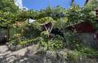 Casă individuală de vânzare în Turnișor | Curte superbă 585 mp - 23