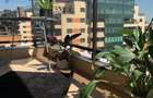 Apartament Onix Grozavesti - 7