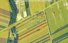 Teren Intravilan (7500 mp),situat in Balesti - Tamasesti - 6