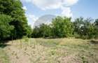 Casă de vânzare în Rotbav | Teren 1.500 mp | Zonă centrală - 8