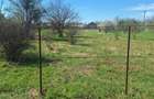 Dragomiresti- Vale, str Nucilor, teren intravilan 2.262mp. - 10