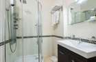 Duplex 130 mp + terasa 3 camere Ultracentral - 13