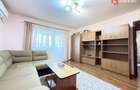 Apartament cu 2 camere, complet renovat, de vanzare in zona Bucovina - 8