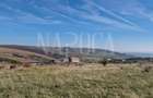 Teren extravilan agricol de vanzare in Iris, Cluj Napoca - 6