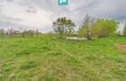 Teren 1 ha cu baltă populată – Alioș (Mașloc) - 4