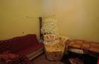 Apartament 5 camere cu teren 266 mp, nivel parter - zona Eroilor - 5