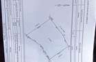 teren in zona Bradet-Sacele - 9