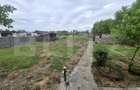Casa cu 3 camere, 91 mp, zona Ardud - 9