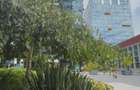 Spatiu comercial premium de inchiriat | One Mircea Eliade – Floreasca | 351,5 mp - 1