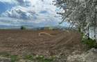 De vanzare doua loturi de teren in Fantanele-Bacau - 2