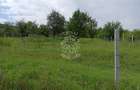 Teren 1000mp+cota drum-ideal cabana/investitie-panorama-Valea Rusului - 2