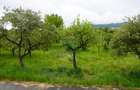 Teren 6,626mp Sighetu Marmatiei / Strada Popa Lupu - 33