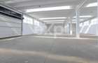 Hală industrială de închiriat – 1.002 mp utili | Calea Moinești | Acces TIR - 9