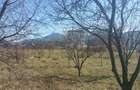 TEREN IN NOUA - INTRAVILAN CONSTRUCTIE- 900 mp  - COMISION 0% pentru cumparator - 7
