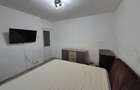 Apartament 2 camere decomandat Dancu - 8