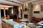 Penthouse spectaculos cu vedere catre parc - 8