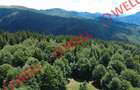 Pădure de vânzare în Vama Buzăului, sat Buzăiel!