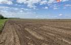 Teren Agricol | Opurtunitate investitie | Sananadrei - ID V713 - 6