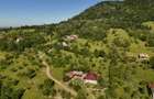 Teren intravilan 5.105 mp, Baia Sprie, la intrare pe Valea Chiuzbăii - 2