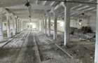 Complex industrial/Ferma de vânzare | Orțișoara, jud. Timiș - 28