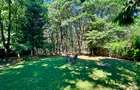 Casa Vermont, cu Padure Privata, Paradisul Verde, teren 1800mp, gradina matura - 10