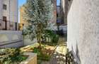 Vila cu arhitectura deosebita, adiacent Bd-ului  Lascar Catargiu, refacuta - 19