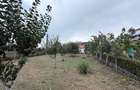 Mioveni- Arges