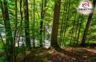 Cabană de Vânzare în Tarcău – Natură, Relaxare și Pescuit la Poartă! - 5
