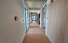 Spatii de birouri PREMIUM (nZEB) 320mp, ZONA CENTRALA - 5
