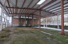 Vanzare depozit/hala/spatiu industrial Popesti Leordeni - Centura Sud, Ilfov - 23