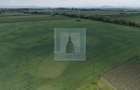 Teren intravilan 50000 mp, cu PUZ, Aprobat - zona Halchiu/Codlea - 12