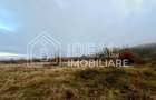 Teren extravilan 6.500 mp – Cârțișoara | Comision 0% - 4