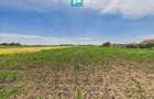 Teren extravilan în suprafață de 10.000 mp, Arad - 10