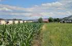Casă / Vilă, teren 1700mp,  în Lisaura-Ipotești, Suceava - 36