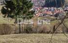 Teren 5000 mp, ideal cabana, pensiune,  in zona de interes  turistic  Rucar-Bran - 1