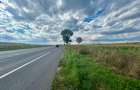 Teren 1.5 HA deschidere 155 m la E85 DN28 nod Autostrada Moldovei A8 intrare Letcani - 5