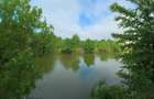Domeniu de 13.054 mp cu vilă de ~1.000mpc și lac privat Teisori, Bulbucata - 23