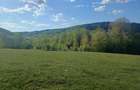 Teren extravilan Bradu - zona cu panorama superba - 4