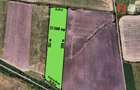 Teren extravilan 27.500 mp de vanzare in Timisoara-Zona Exterior Vest Mehala - 4